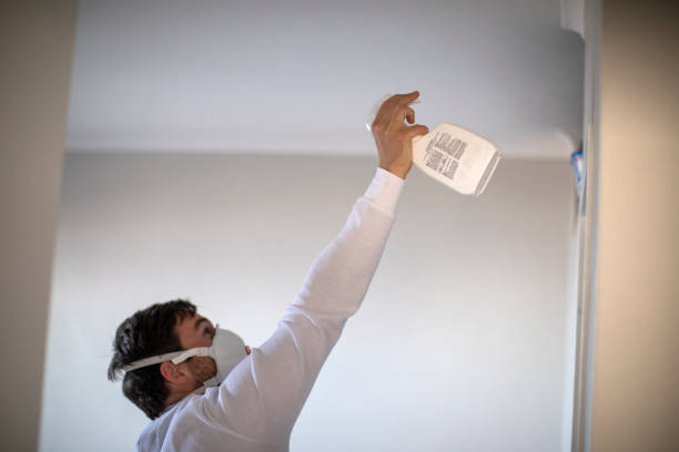 Best Kitchen Mold Remediation in Faxon, PA